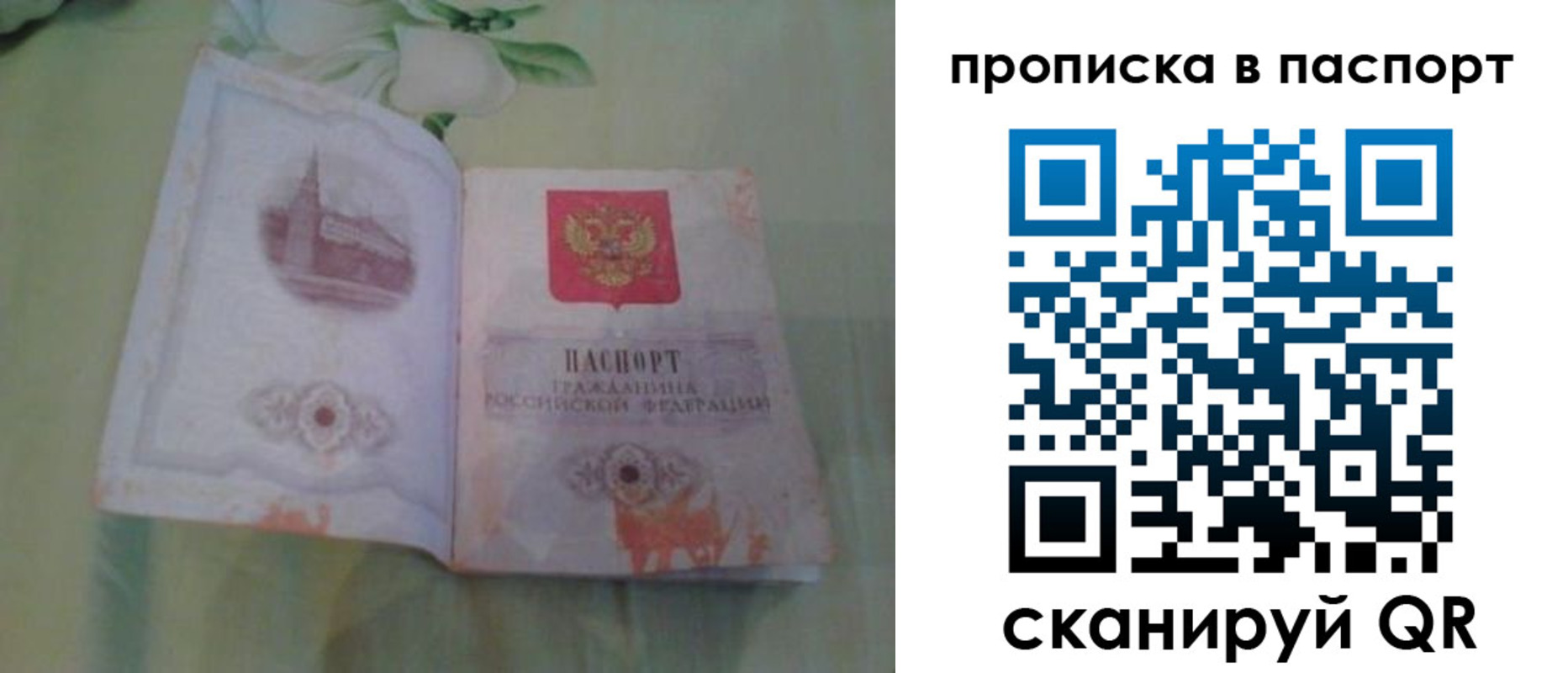 прописка для школы в Алексине